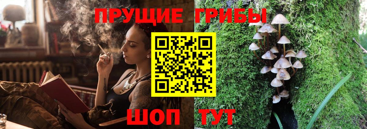 Галлюциногенные грибы ЛСД  Вход с VPN  купить наркотики сайты  Галлюциногенные грибы мухоморы  Печора 